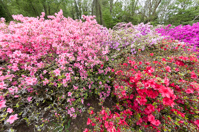 Ireland May 2015 (26)